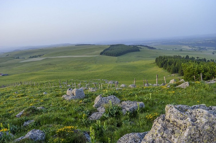 Le Puy de Mathonière