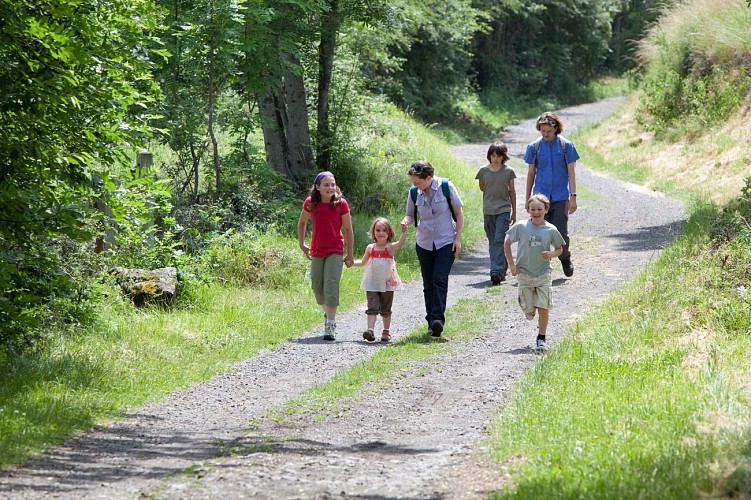 Le bois de Chavagnac