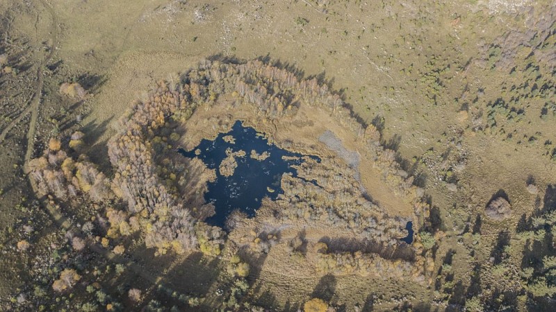 Tourbières de Brujaleine