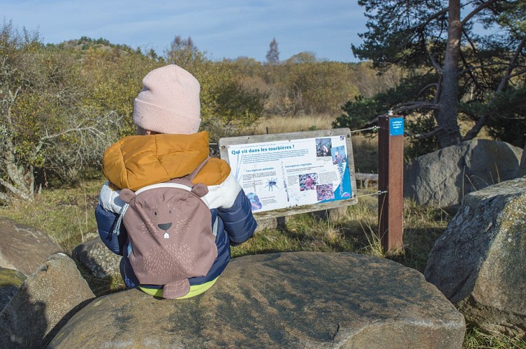 Tourbières de Brujaleine
