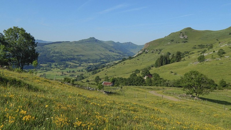 Vallée de l'Impradine