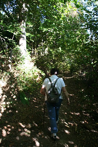 Le chemin des écoliers