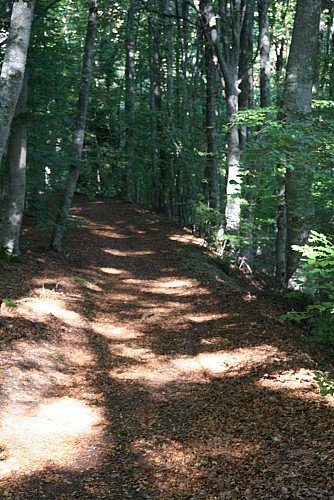 Le chemin des écoliers