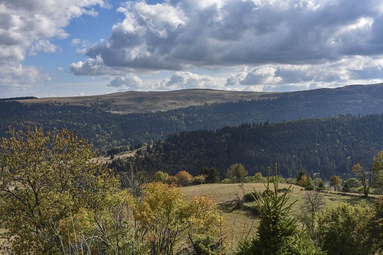 Lagnon Valley