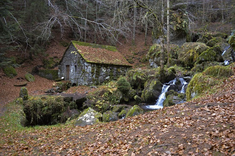 Parcours trail 2 - Tour de Chambeuil