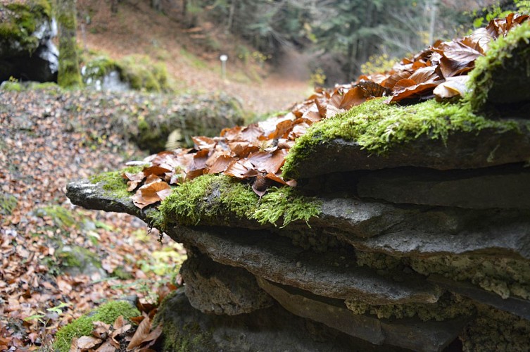 Parcours trail 2 - Tour de Chambeuil