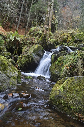 Parcours trail 2 - Tour de Chambeuil