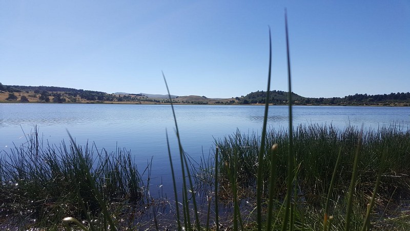 Parcours trail 10 - Lac du Pêcher