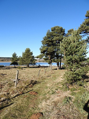 Parcours trail 10 - Lac du Pêcher