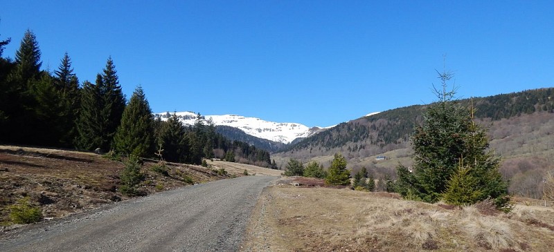 Parcours trail 17 - Le Cirque de Chamalière - Cascade des Vergnes