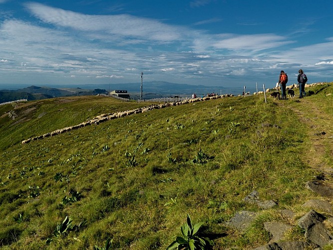 Parcours trail 15 - Plomb du Cantal Prés Marty