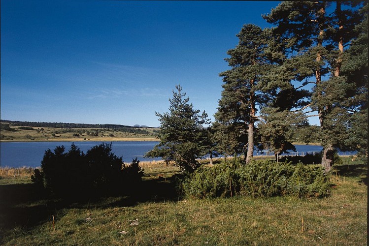 La porte du Cézallier