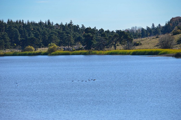 La vallée de la Santoire
