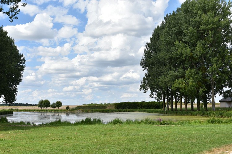 Adon - étang communal - 1er août 2018 - OT Terres de Loire et Canaux - IRémy (33)