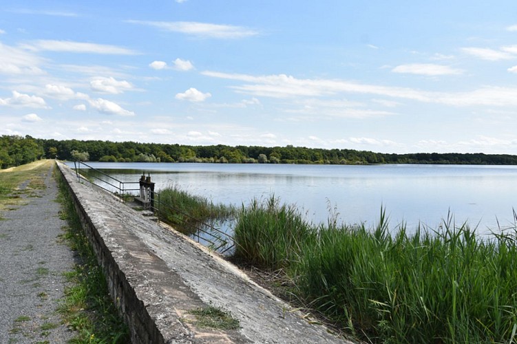 Breteau - étang de la Tuillerie - OT Terres de Loire et Canaux - IRémy (44)