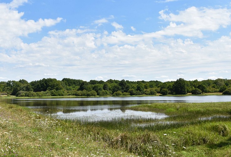 Champoulet - étang de la Cahauderie - 1er août 2018 - OT Terres de Loire et Canaux -IRémy  (16)