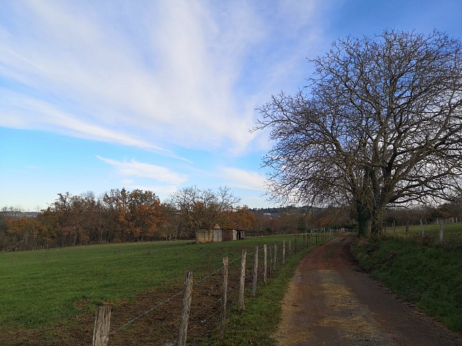 Petite Randonnée la Jonchère à Cusse