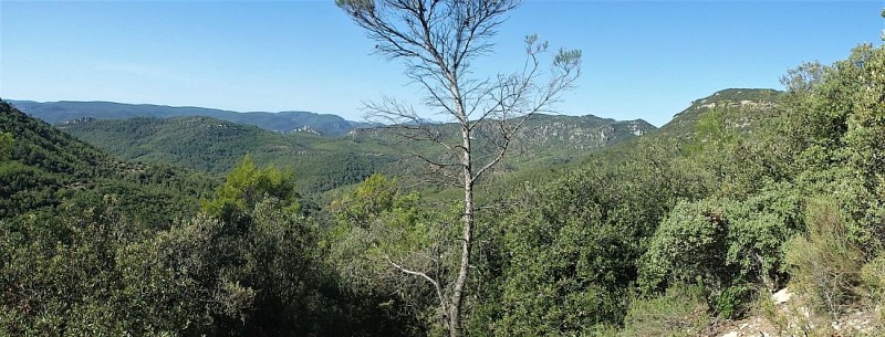 Montagne de la Loube