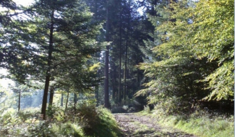 Sentier des Mémoires