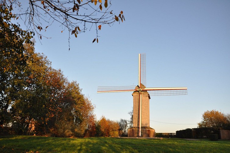 Steenvoorde - moulin