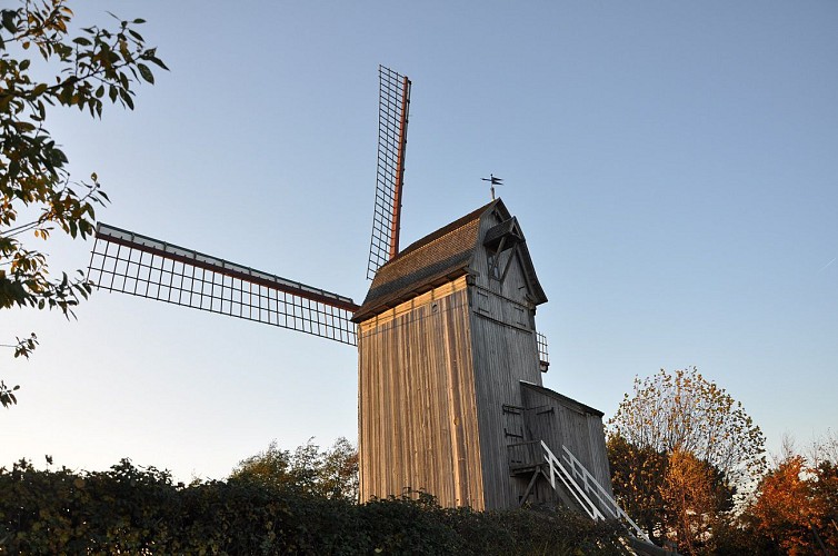 Steenvoorde - moulin