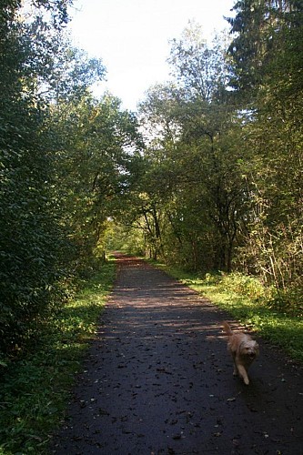 Lessive - Autour de la Lesse et ses paysages bucoliques