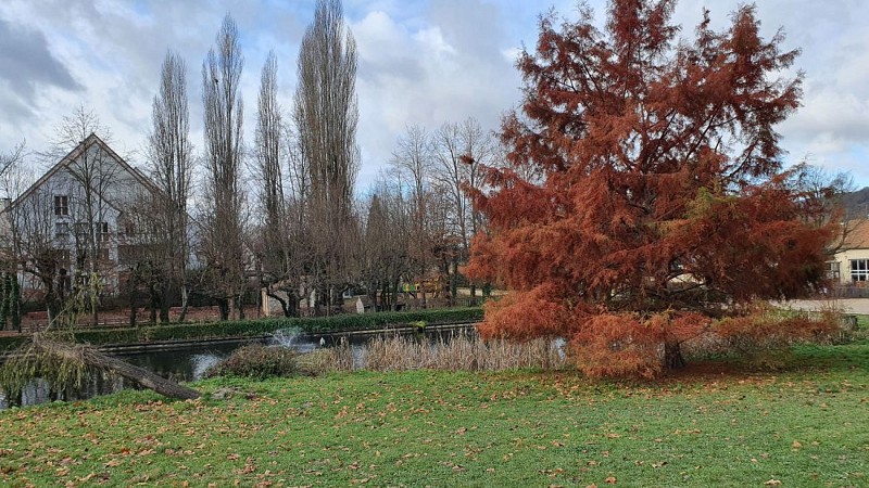 Ruta en bucle de Gif-Sur-Yvette