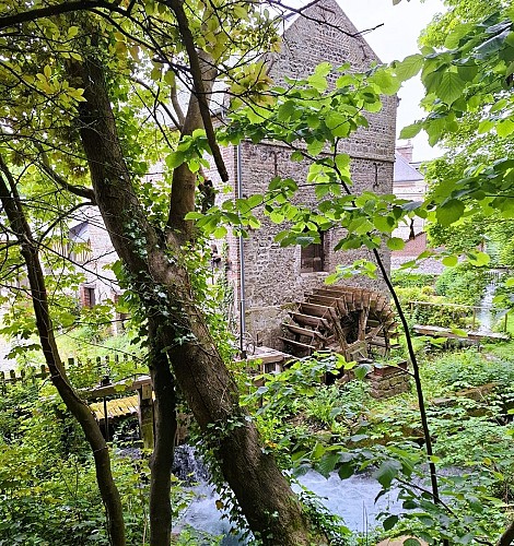 MOULIN DES AIEUX VEULES