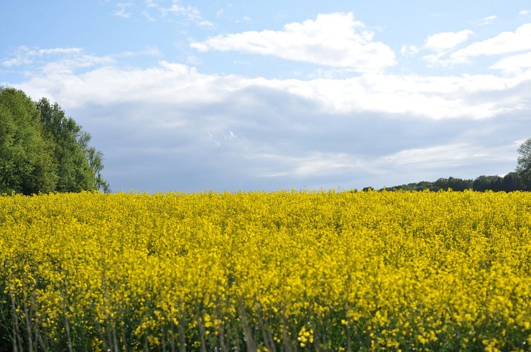 Balade ferme du hasard (79)