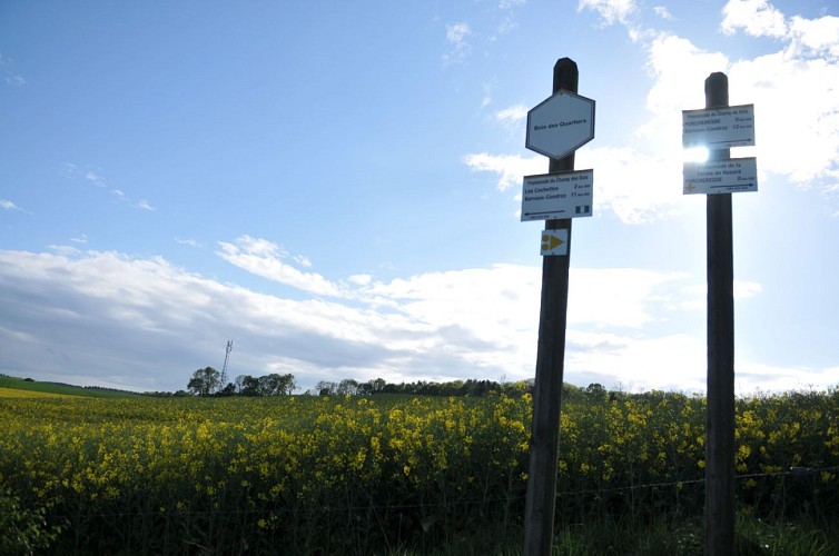 Balade ferme du hasard (86)