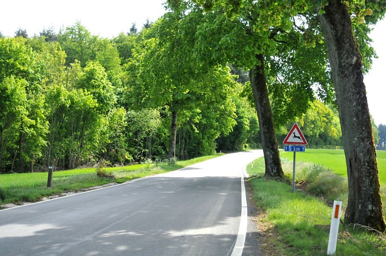 Balade champ du bois (27)