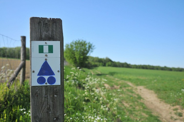 Balade champ du bois (83)