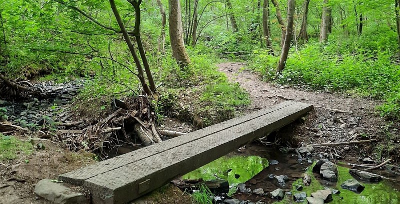 Balade des petits Ponts - Ohey 4'