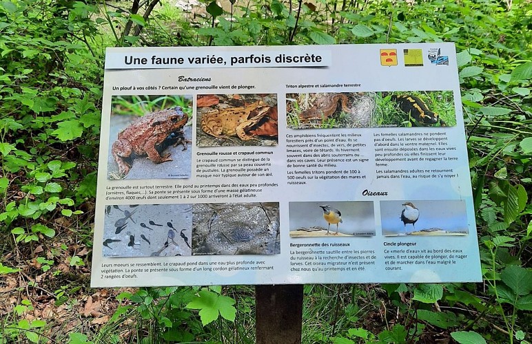 Balade des petits Ponts - Ohey 12-panneau'