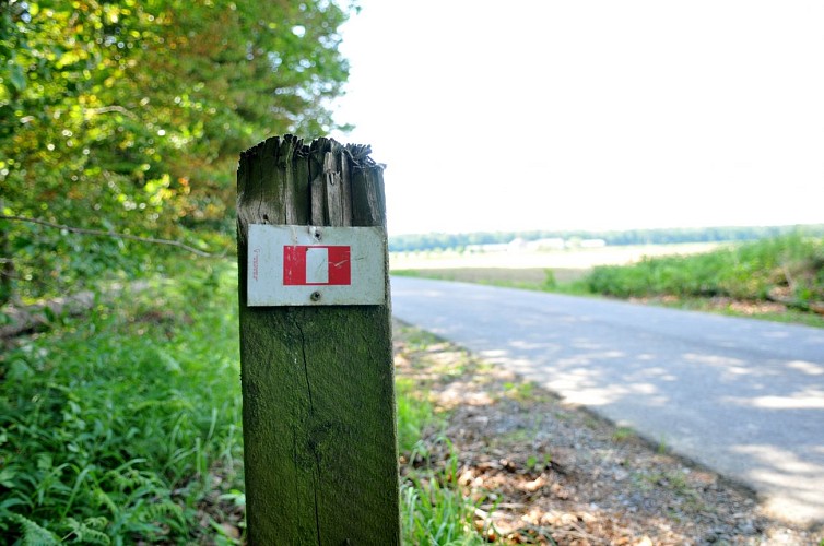 Balade Porcheresse (11)