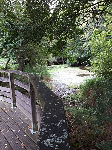 .Vallée humide du Bois-Ainaux