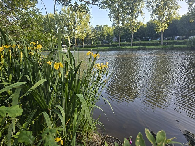 AMBRIERES LES VALLEES - Circuit Le Gué de Gênes
