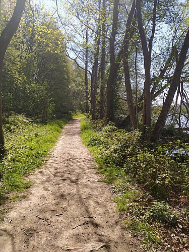 AMBRIERES LES VALLEES - Circuit Le Gué de Gênes