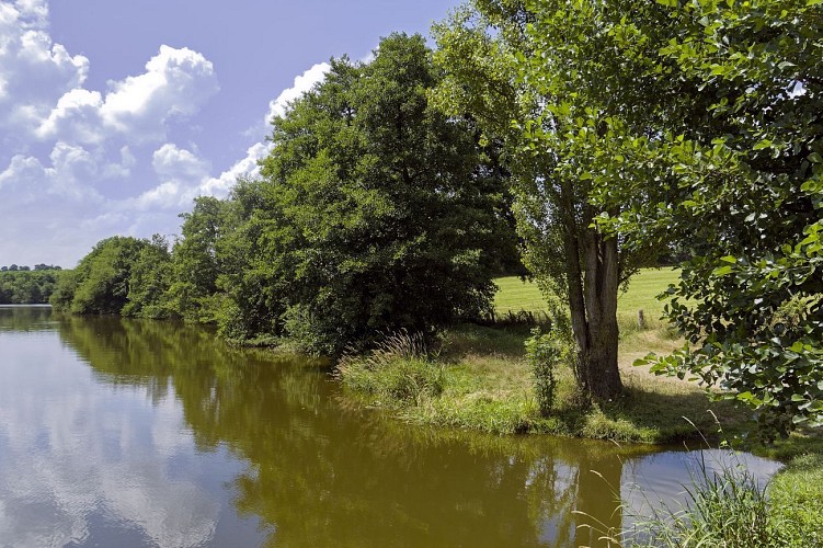 AMBRIERES LES VALLEES - Circuit Le Gué de Gênes