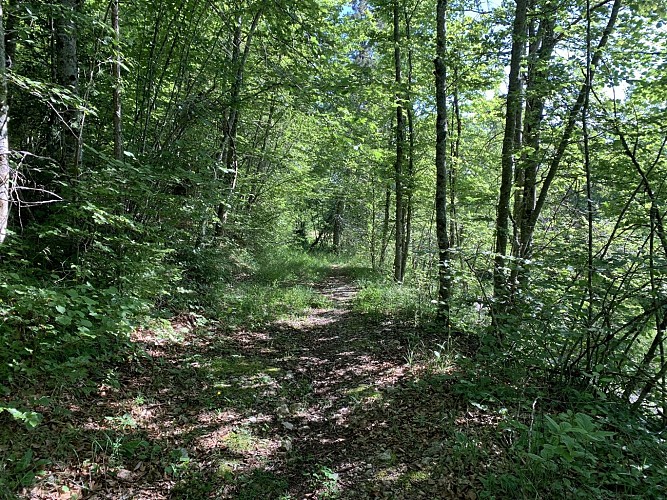 Randonnée - Le circuit des quatre villages