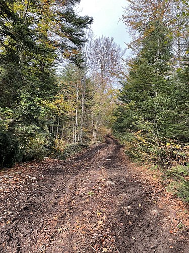 Le Belvédère de Sérémond