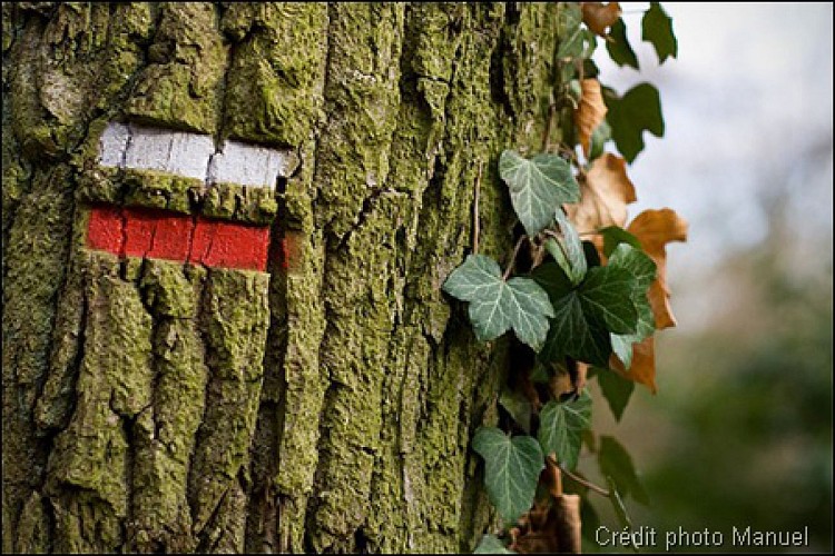 GR®11 - De Changis-sur-Marne à Coulommiers