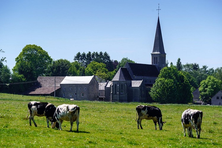 Ciney_Pessoux_19052020_004 BD