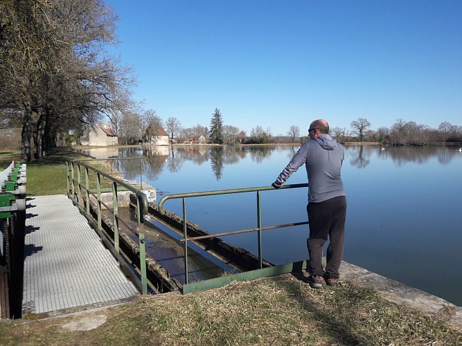 Randonnée - Boucle de Forge Neuve à Avril-sur-Loire