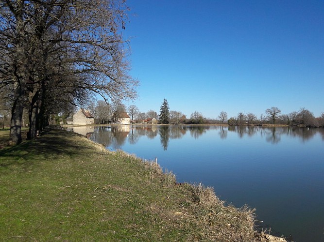 Randonnée - Boucle de Forge Neuve à Avril-sur-Loire