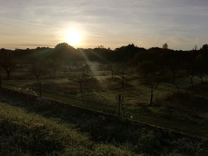 The Montauger Circuit