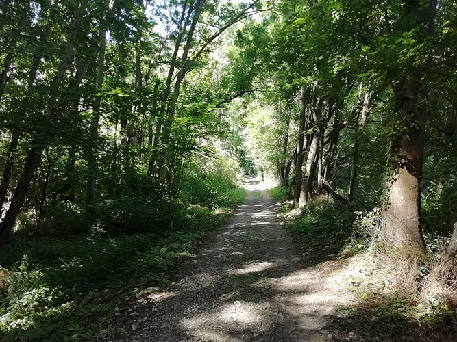 Il giro di Montauger