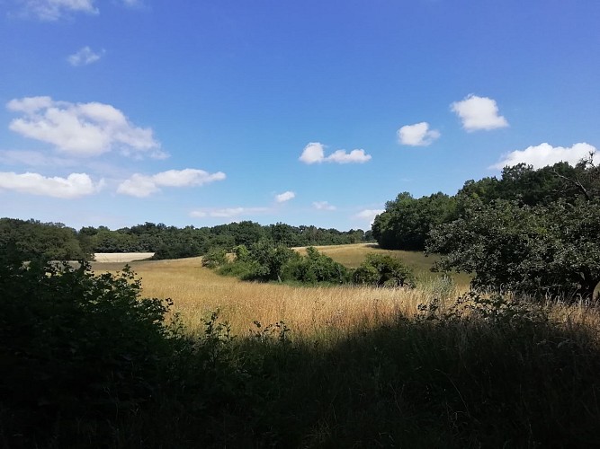 Il giro di Montauger