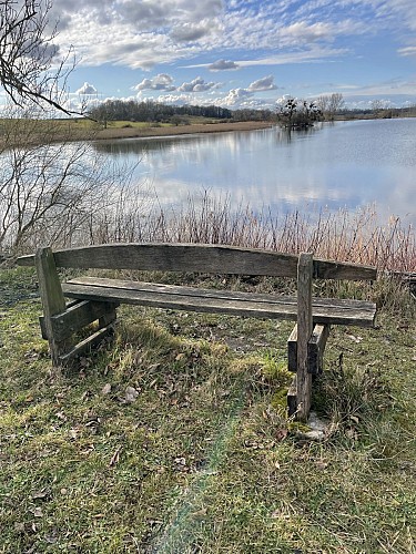 Etang du grand Morinval