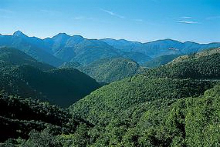 BEVERA / LE MONT GRAZIAN / OLIVETTA